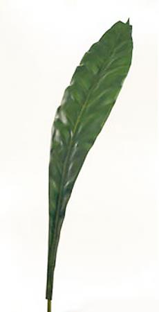 Διακοσμητικό Φύλλο Aspidistra 172cm